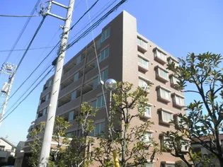 ア クール杉原の画像