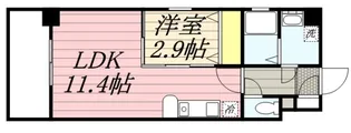 CASSIOPEIA HAKOZAKI【7階】の間取り