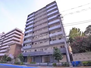 ライジングプレイス堀切【10階】の外観