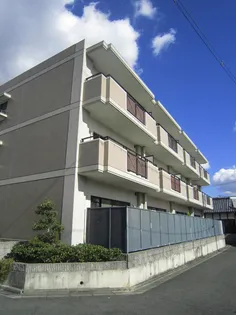 マドカⅡの画像