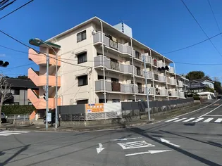 夢ハウスの画像