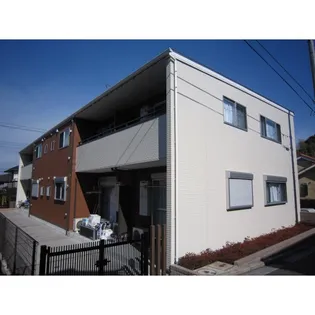 シャトンKの画像