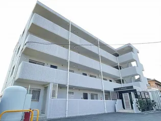T WOODの画像