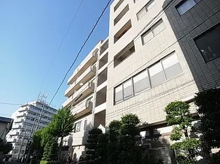 ゴールドクレストの画像