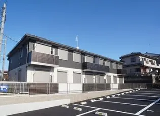 グリーンコモドの画像