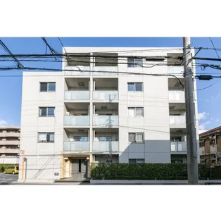 フェリチターレの画像