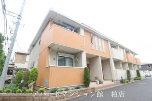 ピサンリの画像