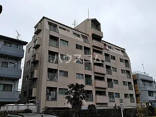 ユミサマリアの画像