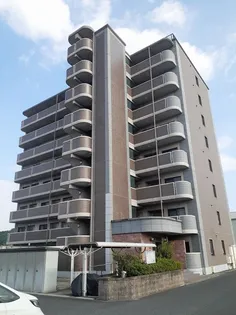 イルマーレの画像