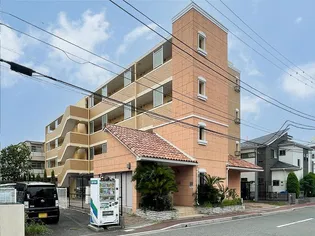 ソレイユ ド レストの画像