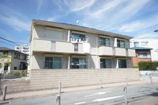 シフォンの画像