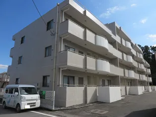 みずほガーデン杉並木の画像