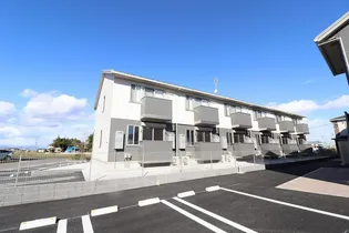 エーデルワイスの画像