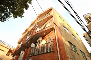 紫苑ビル【4階】の外観