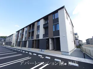 パーシモンSの画像