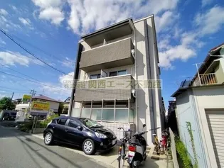 エヌエムトラントシスの画像