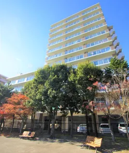 宮城県仙台市若林区新寺4【マンション】の外観