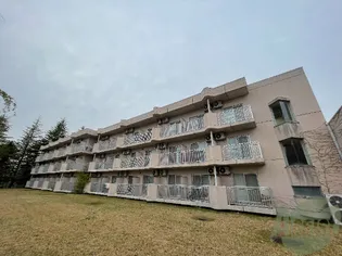 ベルシティ泉水【2階】の外観