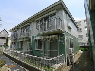 メイプルYの画像