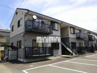 グレースイシバシの画像