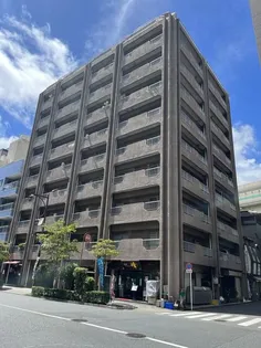 セブンスターマンション第2日本橋【8階】の外観