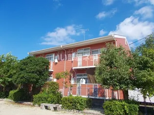 ニュー風早の画像