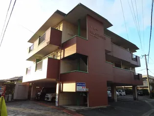 インポート久留米ルビーIの画像