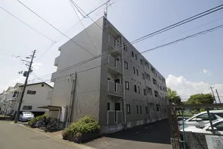 エクセルディアコートの画像