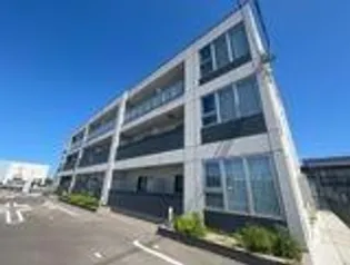 ゼルコバの画像