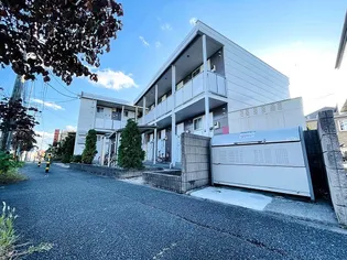 ビジョンノバニーの画像