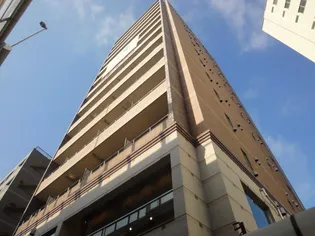 コンフィアンス流来の画像