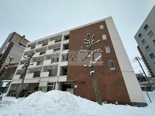 北海道札幌市中央区北四条西11【マンション】の外観