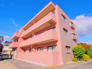 ファミールアキの画像