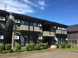 ロイヤルタウン三条 八番館の画像