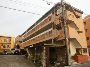 埼玉県さいたま市浦和区東岸町【マンション】の外観