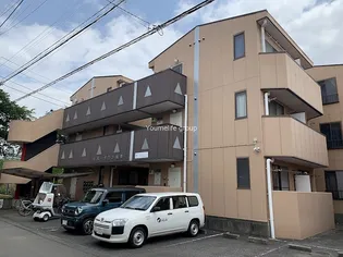 リバータウン松枝【3階】の外観