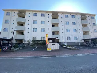 サンハイツ諏訪前【2階】の外観