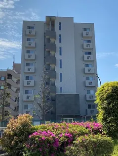 LARESーLの画像