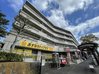 パインクレスト1番館【5階】の外観