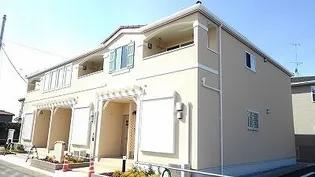 パレドール Cの画像