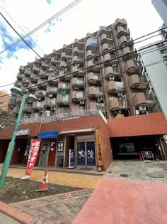 セザール伊勢佐木の画像