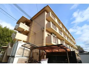 シャンセ虫生野の画像