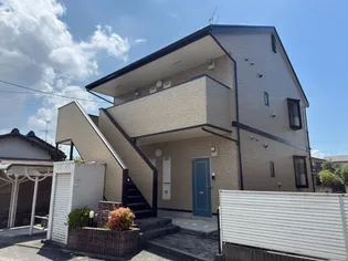 カリーノの画像