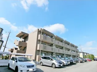 ユーミー豊栄の画像