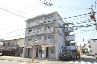 徳島県徳島市南昭和町4【マンション】の外観