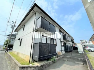 グレイス ベルの画像