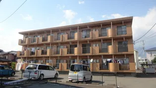 静岡県沼津市岡一色【マンション】の外観