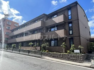 AMOUR櫻花の画像