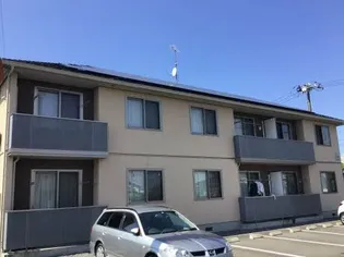 クラヴィエ土瓜の画像