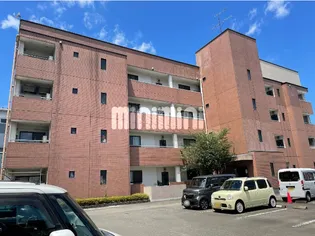 リヴィエール辰起の画像